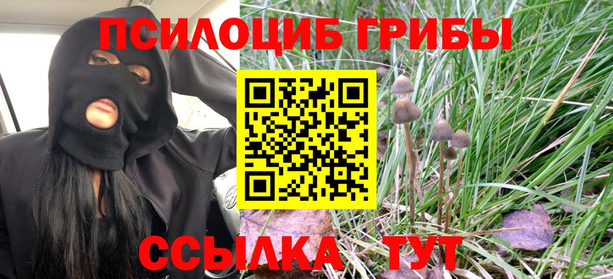 Псилоцибиновые грибы Cubensis  Вход с VPN  Краснодар 