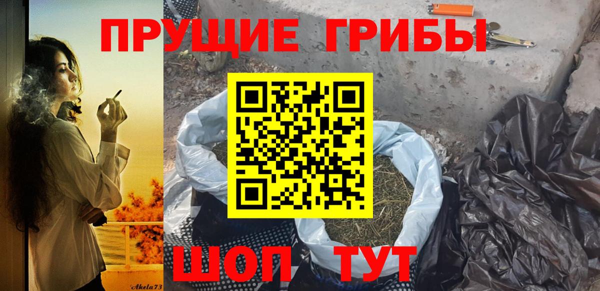 Псилоцибиновые грибы Psilocybine cubensis Краснодар