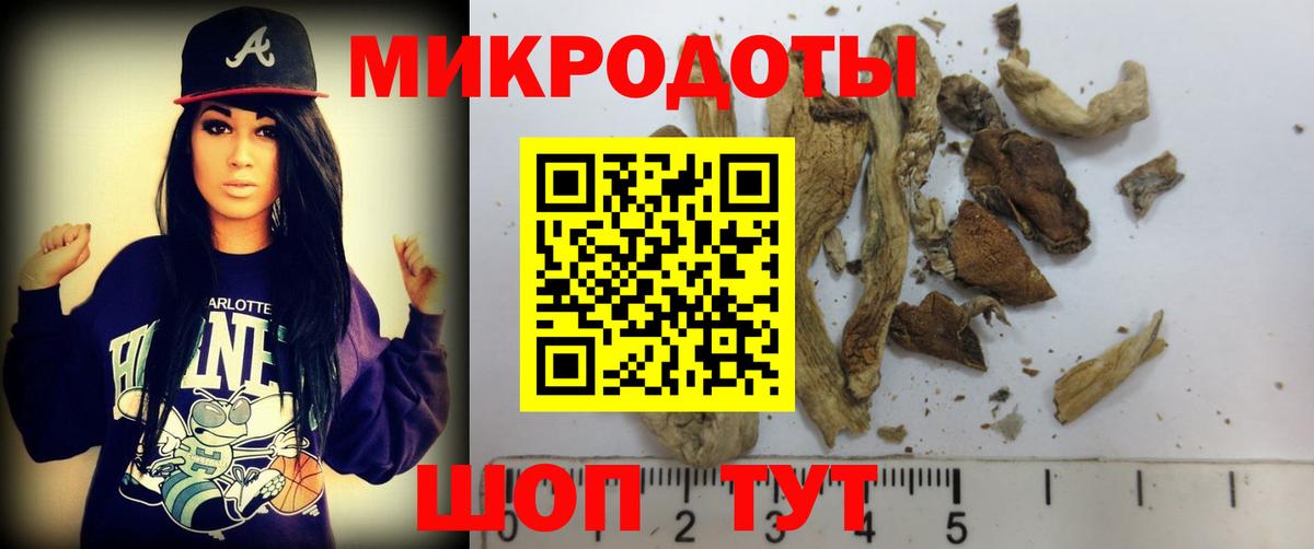 Псилоцибиновые грибы мицелий Краснодар