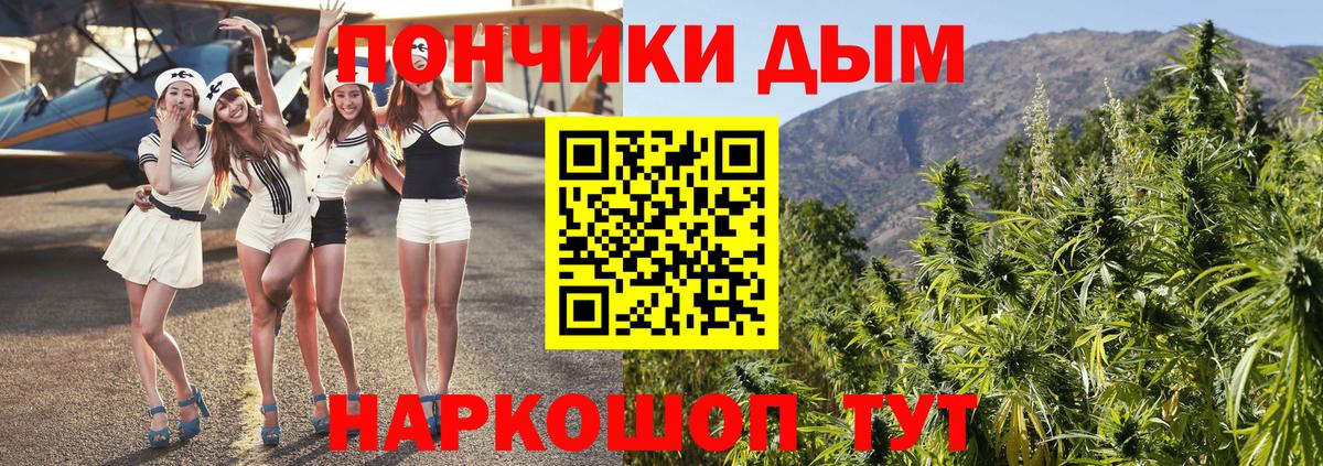 Конопля ГИДРОПОН  Краснодар  МАРИХУАНА гибрид  Канабис семена  Бошки Шишки MAZAR 